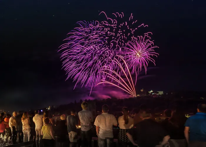 Plaza Lucchesi 4* Florence